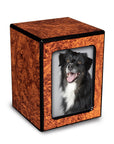 Society Collection-Small-Photo Pet / Keepsake Cremation Urn-Burl Finish - chateau-urns
