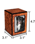 Society Collection-Small-Photo Pet / Keepsake Cremation Urn-Burl Finish - chateau-urns